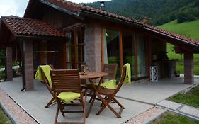 Studio Alpika