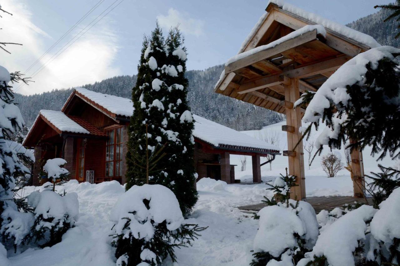 Villa Studio Alpika Luče Exterior foto
